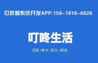 叮咚智還系統(tǒng)APP開發(fā) 廣州軟件開發(fā)的創(chuàng)新實(shí)踐
